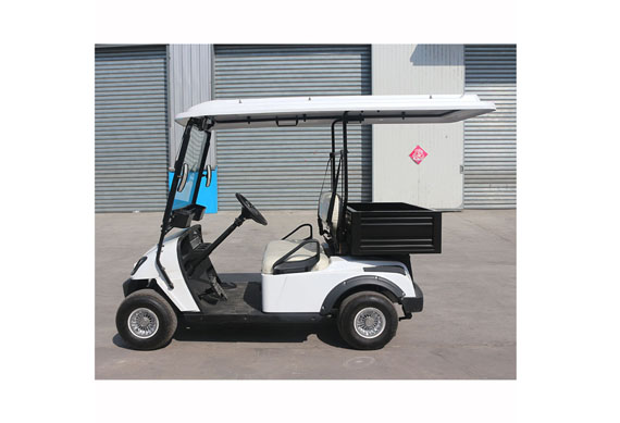 Chinese factory Custom 2 seater buggy electric golf car