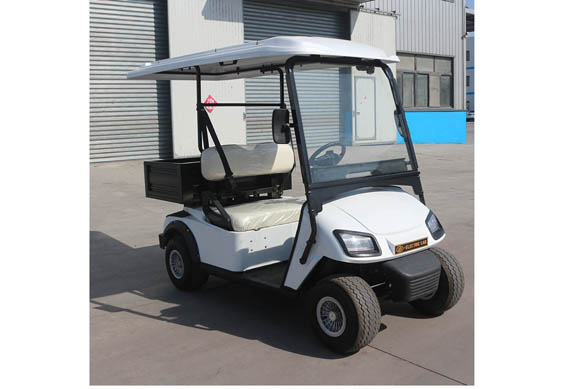 Chinese factory Custom 2 seater buggy electric golf car