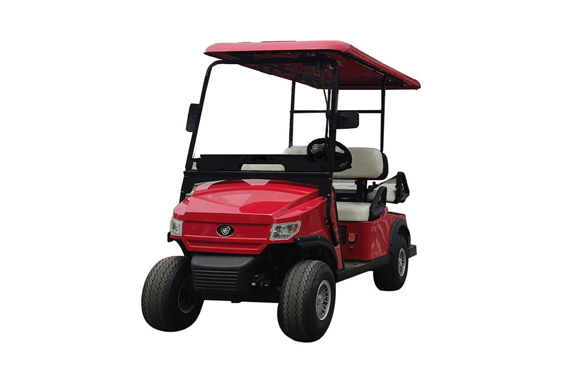 Mini Electric golf carts with High Quality electric utility vehicle