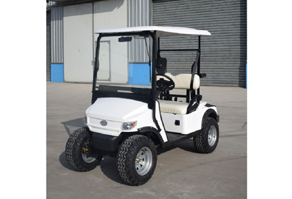 Mini Electric golf carts with High Quality electric utility vehicle