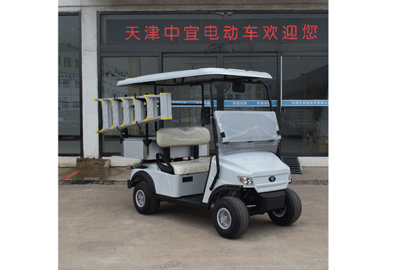 Electric golf cart with ladder