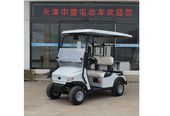 Electric golf cart with ladder