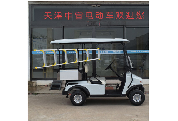 Electric golf cart with ladder