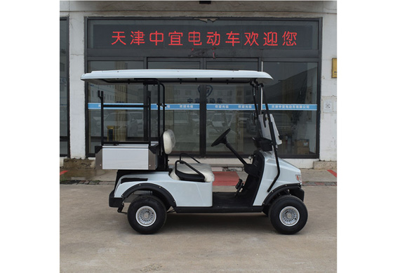 Electric golf cart with ladder