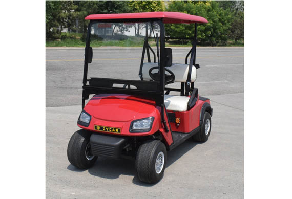 Mini 2 seats electric golf cart price