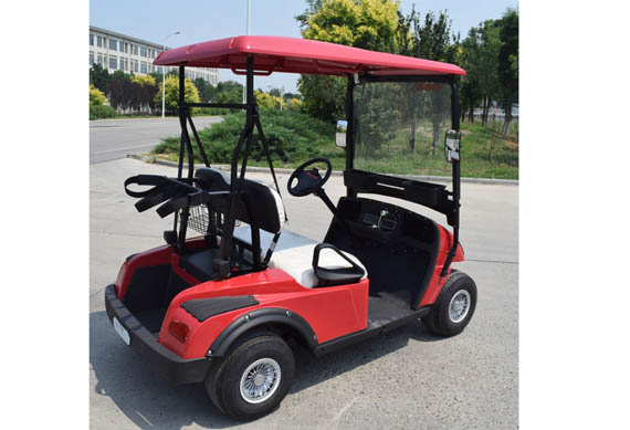 Mini 2 seats electric golf cart price