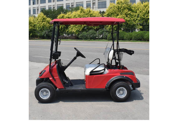 Mini 2 seats electric golf cart price