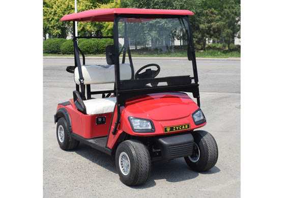 Mini 2 seats electric golf cart price