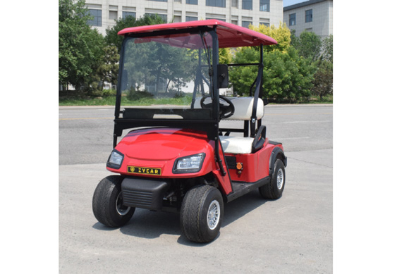 Chinese factory 2 4 6 8 seater electric buggy golf cart price