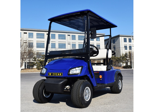 Chinese factory 2 4 6 8 seater electric buggy golf cart price