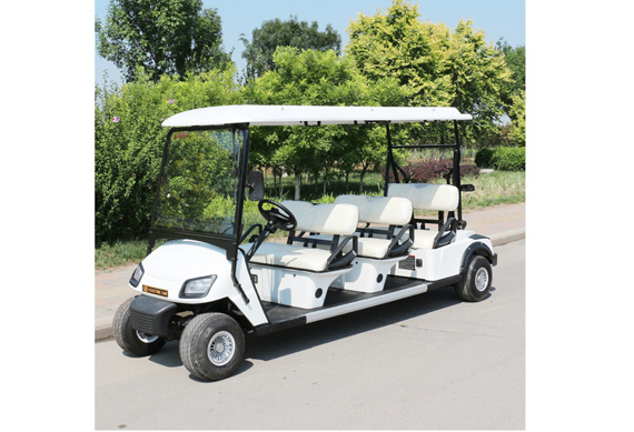 Chinese factory 2 4 6 8 seater electric buggy golf cart price