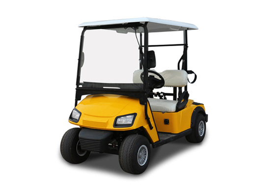 2 seats electric golf cart factory prices support customization