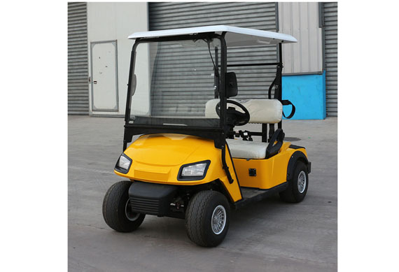 2 seats electric golf cart factory prices support customization