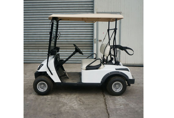 2 seats electric golf cart factory prices support customization