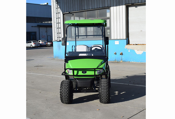 2 person electric golf cart with high quality