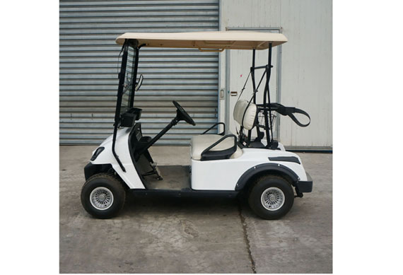 Hot selling 2 seater Small golf buggy with rear basket,mini golf cart