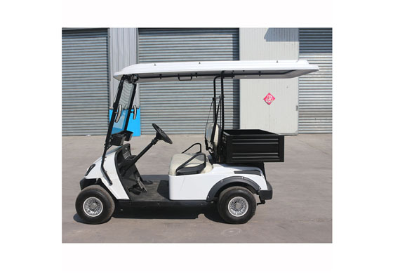 Hot selling 2 seater Small golf buggy with rear basket,mini golf cart