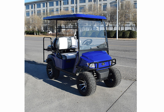 Blue electric golf cart factory price