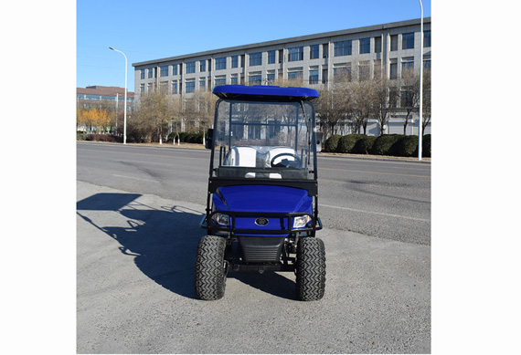 Blue electric golf cart factory price