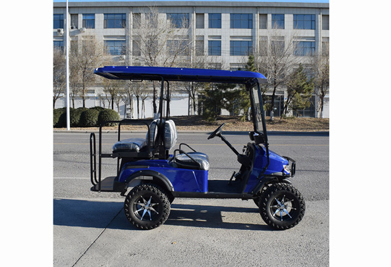 Blue electric golf cart factory price