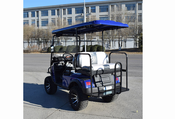 Blue electric golf cart factory price