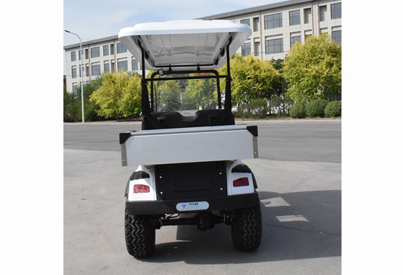 Supply 4 seater custom made Electric golf cart for Tourist