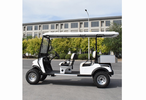 Supply 4 seater custom made Electric golf cart for Tourist