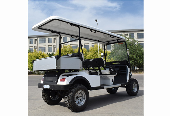 Supply 4 seater custom made Electric golf cart for Tourist