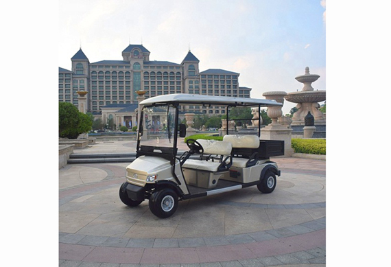 48V4KW electric golf cart manufacturer factory price customized model