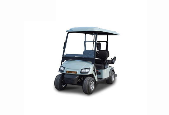 2+2 Seater Electric Golf cart with CE Certificate