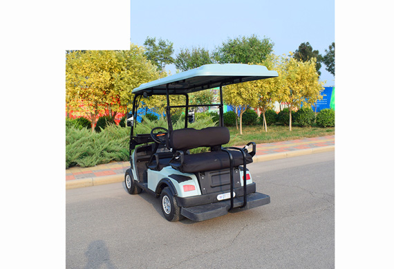 2+2 Seater Electric Golf cart with CE Certificate