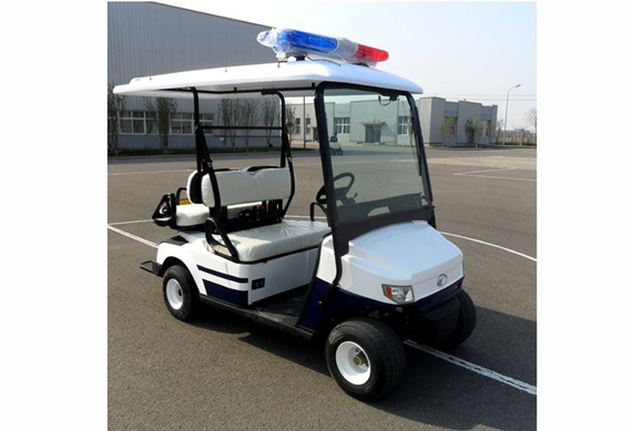 2+2 Seater Electric Golf Cart with High Quality