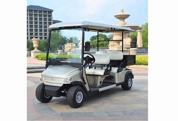 4 person golf cart with gas and electric power