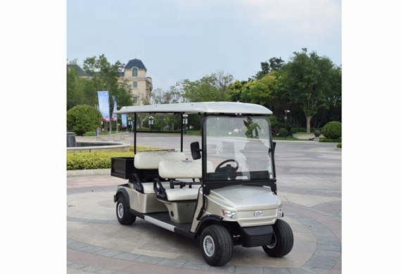 4 person golf cart with gas and electric power