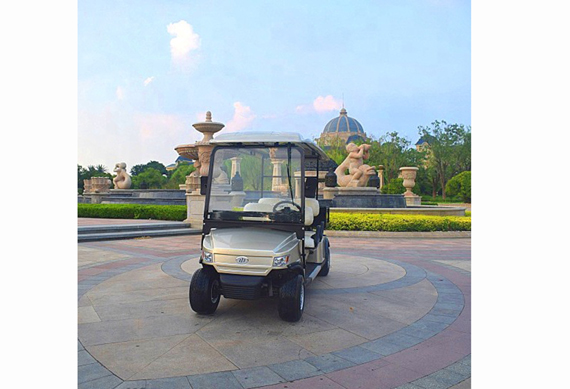 4 person golf cart with gas and electric power