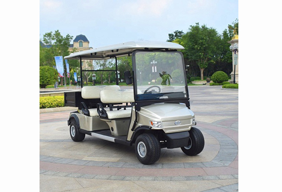 4 person golf cart with gas and electric power