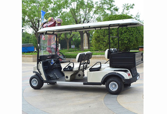 4 person golf cart with gas and electric power