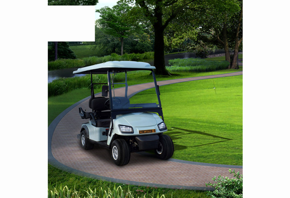 Suitable price battery powered tourist golf cart wiht high quality