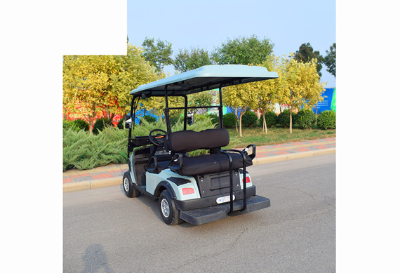 Suitable price battery powered tourist golf cart wiht high quality