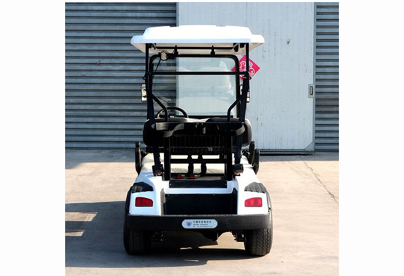 Zhongyi low Price electric golf buggy for airport using