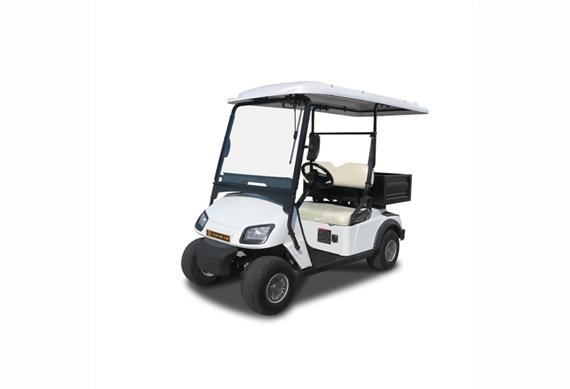 New design 2 seats electric golf buggy for golf course with cargo box