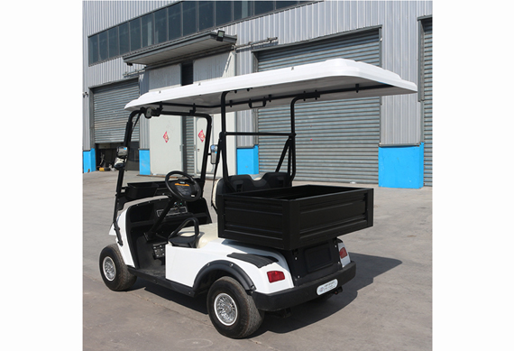 New design 2 seats electric golf buggy for golf course with cargo box