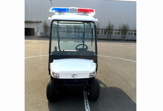 Professional electric golf cart with great price