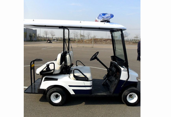 Professional electric golf cart with great price