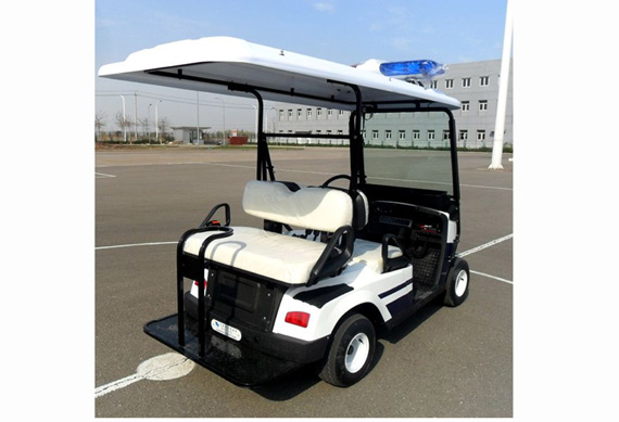 Professional electric golf cart with great price