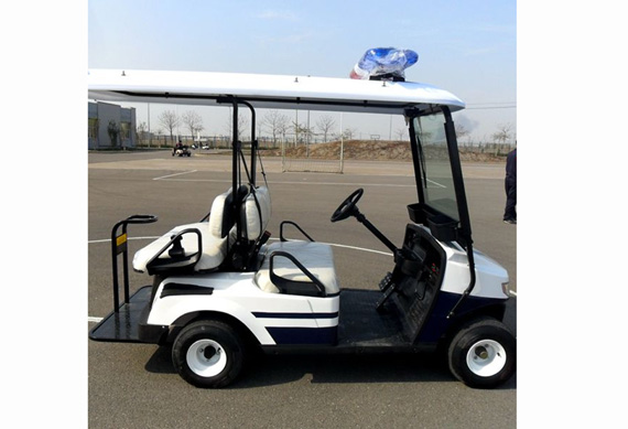 Professional electric golf cart with great price