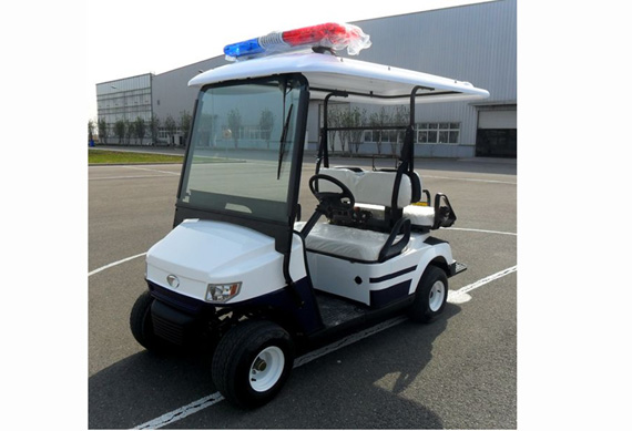 Professional electric golf cart with great price