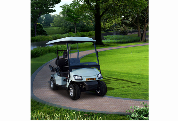 New version security 2 seats golf cart with cargo box