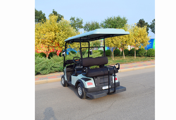 New version security 2 seats golf cart with cargo box