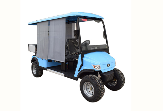 CE approved electric golf buggy for company tourist